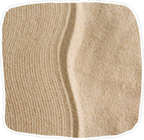 Feel Safe Inside Your Body